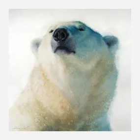 Calm Cool and Collected Polar Bear Art