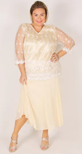 Golden Treasure Lace V-neck Top